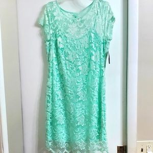 Mint Lace Dress with Stretch